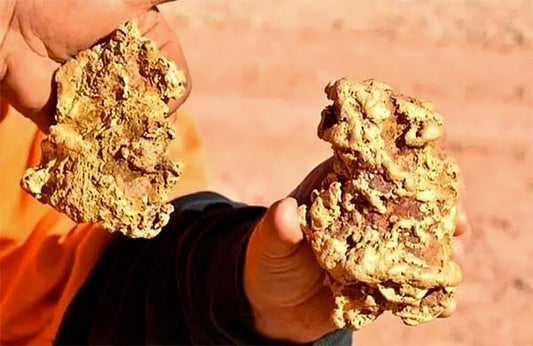 Close-up of a person holding two large, rough chunks of gold nuggets, showcasing their natural form and texture. The gold is embedded with earthy material, and the background features a red dirt landscape, highlighting the discovery.