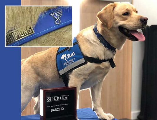 Service dog Barclay wearing a blue harness with the St. Louis Blues logo, standing proudly next to a plaque from Purina, representing their partnership with the St. Louis Blues.