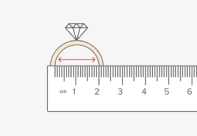 Scale
