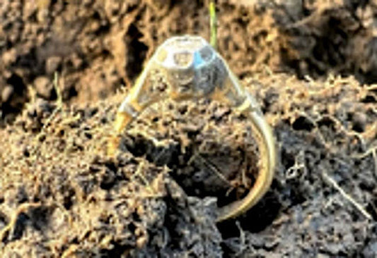 Gold ring partially buried in soil with a diamond or gemstone setting visible.