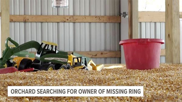 Orchard floor with yellow corn kernels, toy construction vehicles, and a red bucket, with a sign displaying 'Orchard Searching for Owner of Missing Ring.