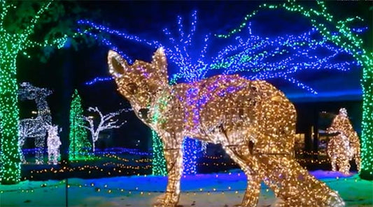 Christmas light display featuring a large illuminated fox and colorful trees with vibrant blue and green lights.