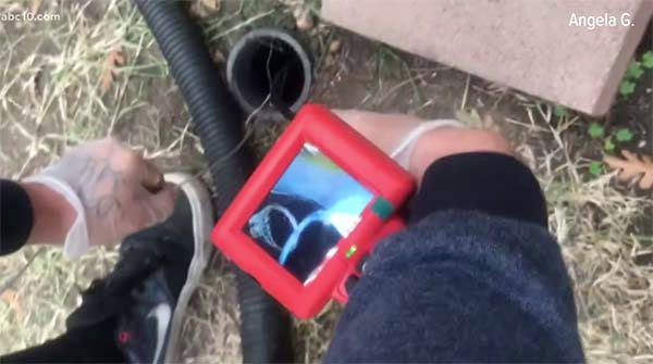 CA Man Uses Wire Hanger to Fish Engagement Ring From Backyard Waste Pipe