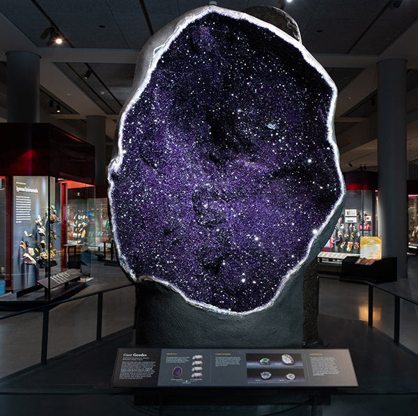 Large geode with sparkling purple amethyst crystals on display in a museum exhibit, illuminated to highlight the inner crystal formations.