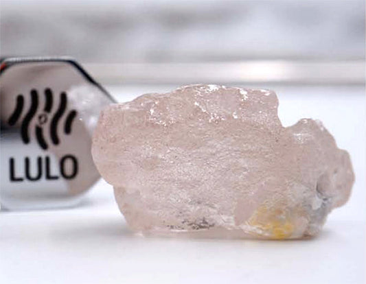 Large rough pink diamond crystal next to a Lulo gemological identification tag, showcasing its natural form and clarity.
