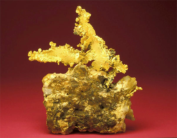 Close-up of a natural gold nugget with intricate, crystalline formations on a red background, showcasing its unique structure.