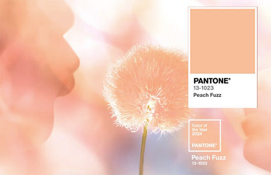 Pantone Color of the Year 2024, Peach Fuzz (13-1023), displayed next to a soft, dreamy image of a peach-colored flower.