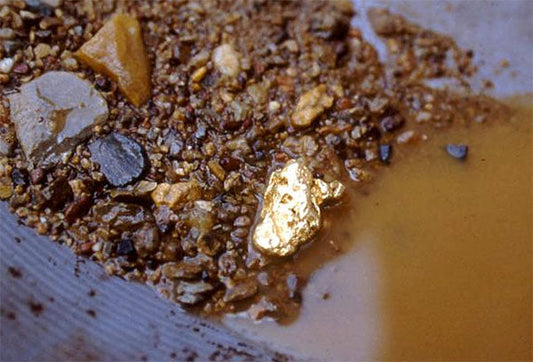 Close-up of gold flakes mixed with small pebbles and gravel in a pan, with water around them. The image showcases the natural process of gold panning, where gold particles are separated from dirt and rocks.