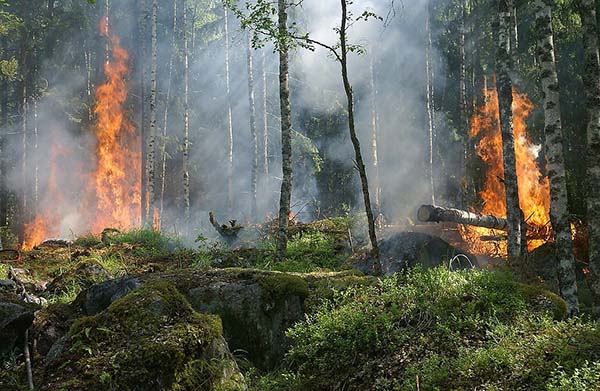 Diavik Mine Supports Wildfire Relief in Northwest Territories With $185K Donation