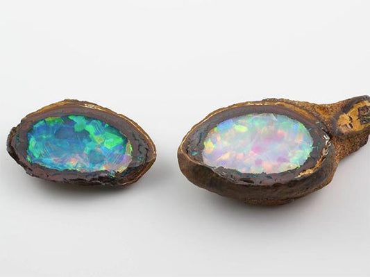 Close-up of two rough opal stones with vibrant, multicolored flashes of blue, green, and pink, showcasing their natural beauty before being polished. The stones are set against a clean white background, emphasizing their intricate patterns and colors.