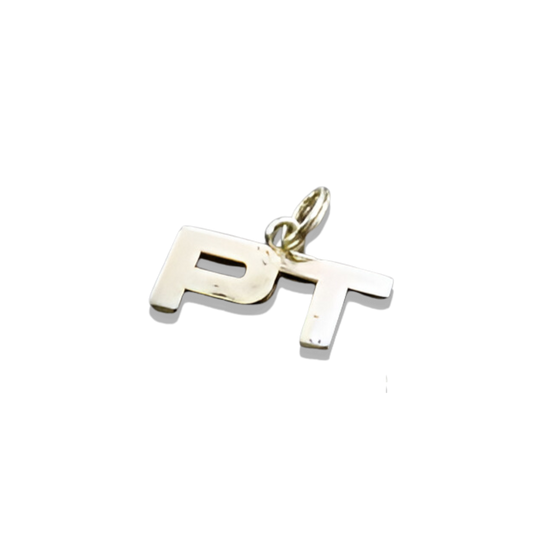 PT Ball Earrings - Gold