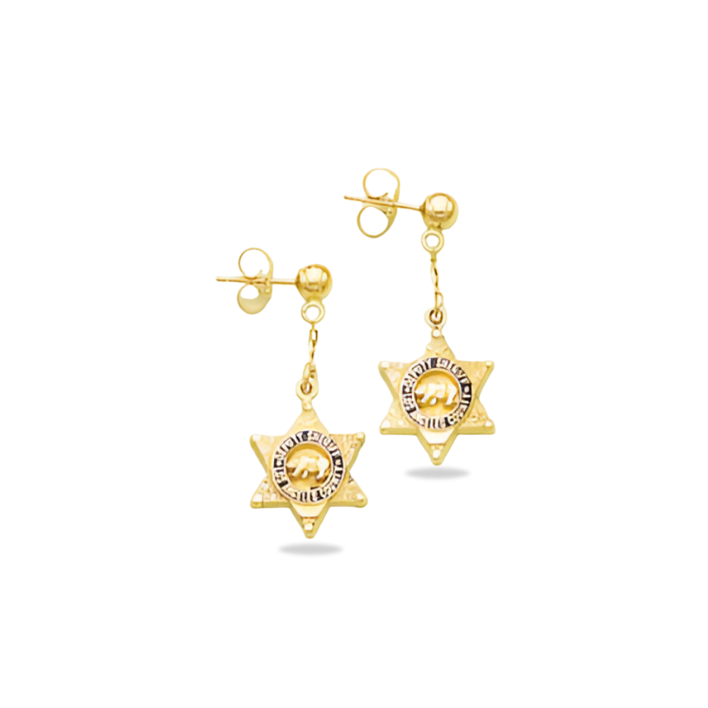 LACSD Cross Badge Star Earrings