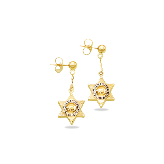 LACSD Cross Badge Star Earrings