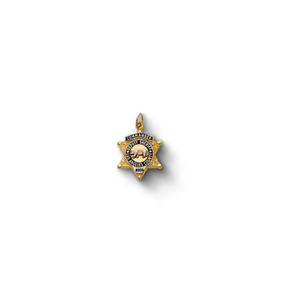LACSD Star Badge Pendant With Ribbon
