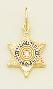 CKSD Small Badge Pendant or TieTack - Gold